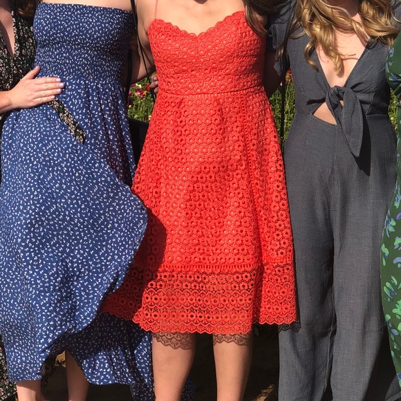 J.Crew Daisy Lace Dress - Picture 6 of 6